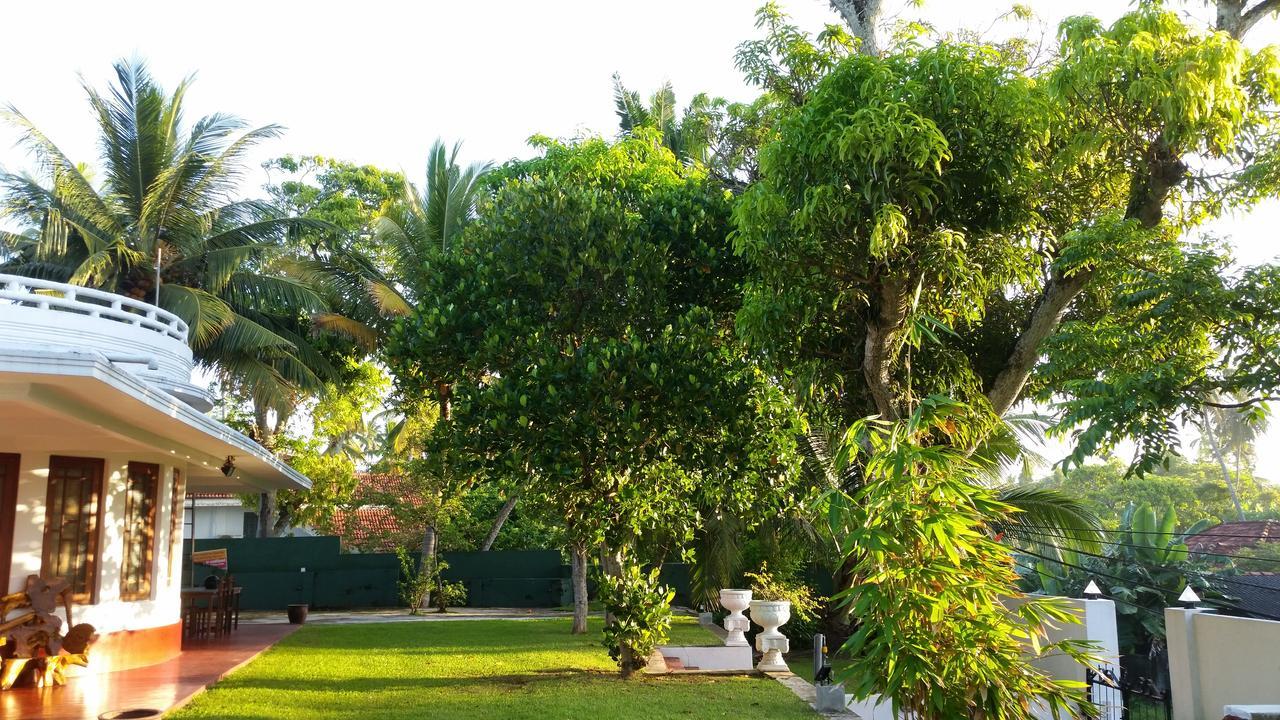 Ahangama Eco Villa Exteriér fotografie